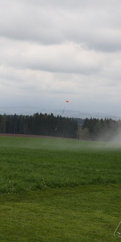 2013 Svojek Mirek Topinka